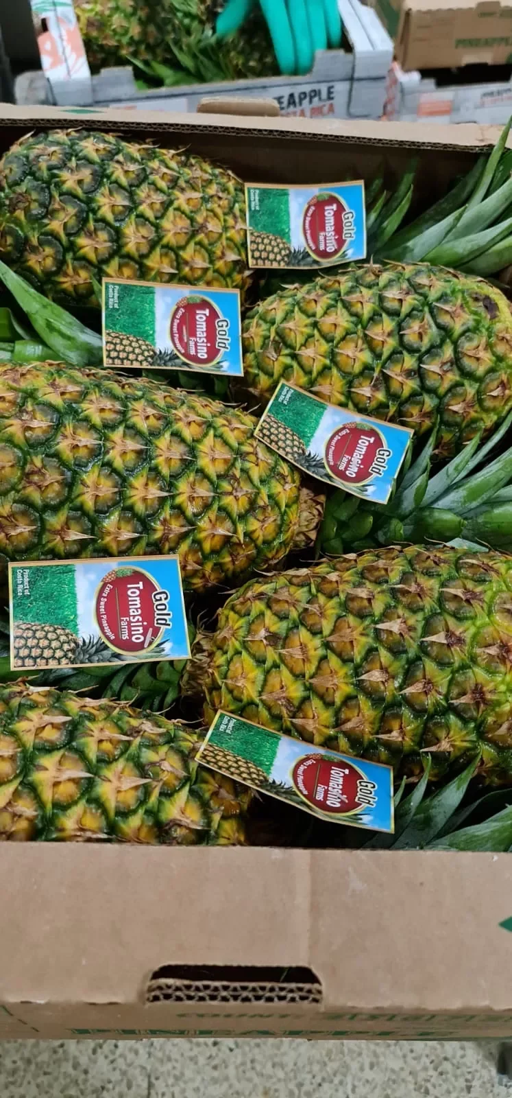 Pineapple Golden Costa Rica