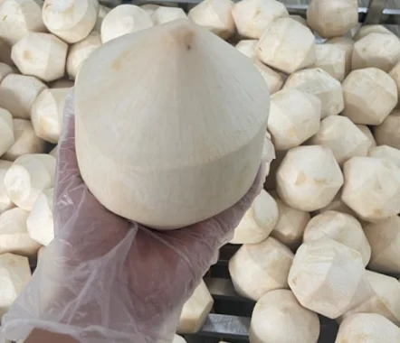 Diamond Cut Young Coconut