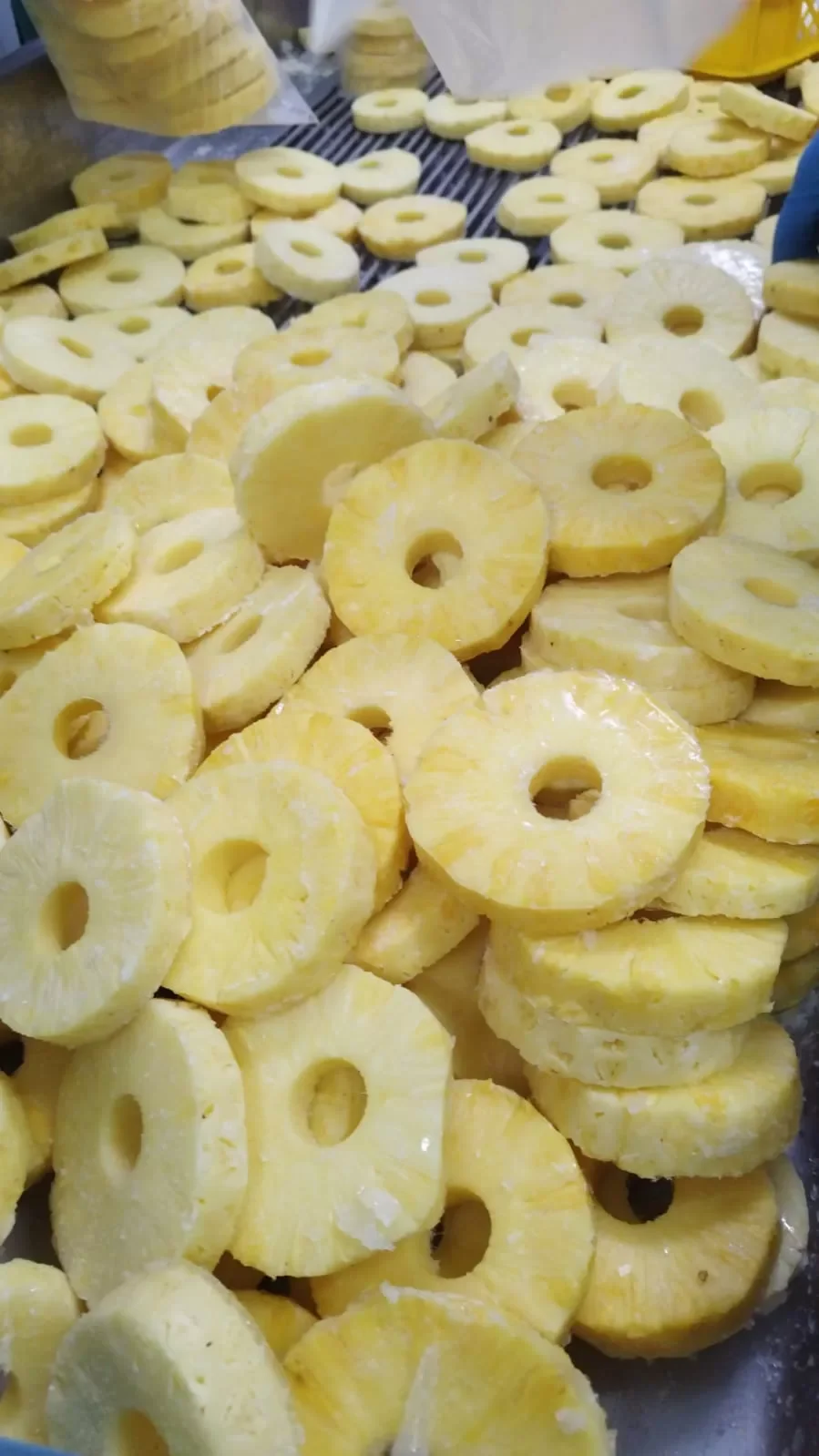 FROZEN SLICED PINEAPPLES Costa Rica